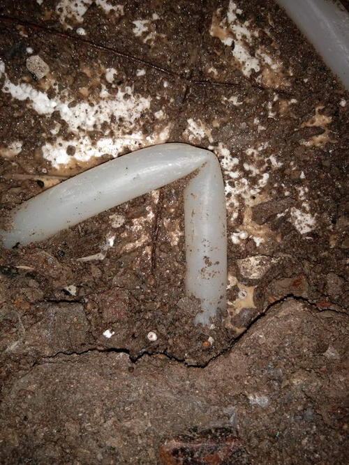 靖江堵点精准查找